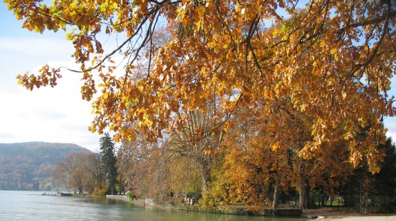 photo les Amis de la Terre