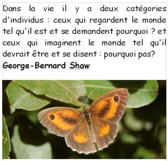 shaw