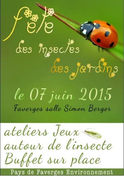 aff fête insectes