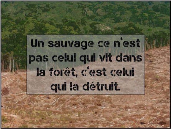sauvage