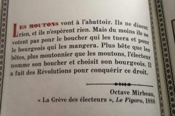 moutons electeurs