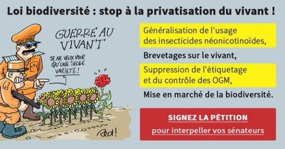 aff. biodiversité
