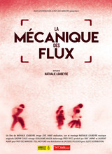 la_mecanique_des_flux