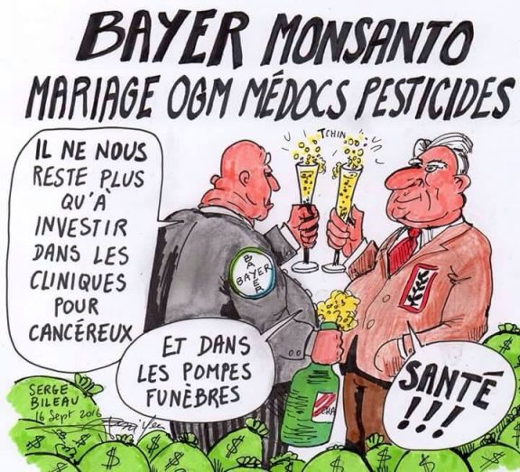 bayer-monsanto